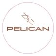 pelican